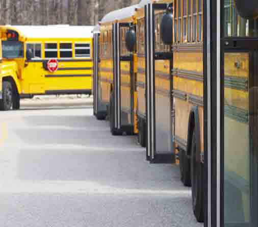 Row of School Busses