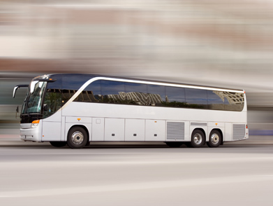Charter Bus Service